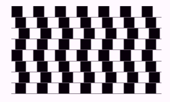 wavy lines Optical Illusion